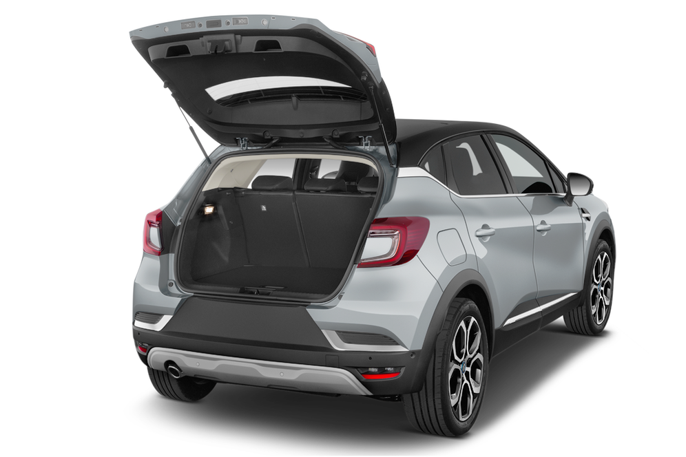 trunk