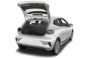 trunk