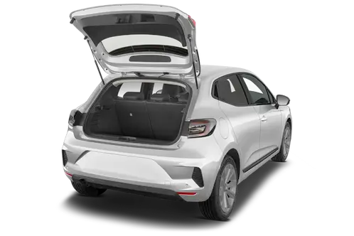 trunk