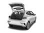 trunk