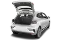 trunk
