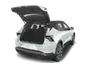trunk
