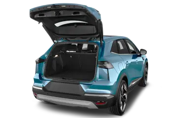 trunk