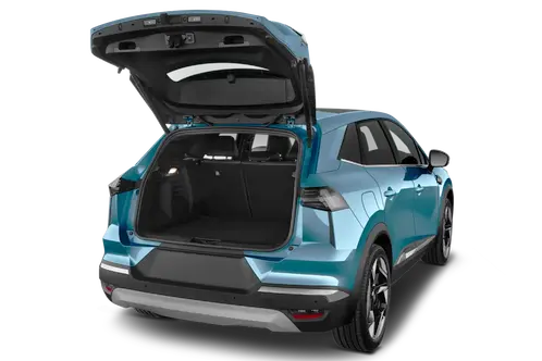 trunk