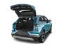 trunk