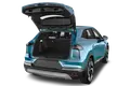 trunk