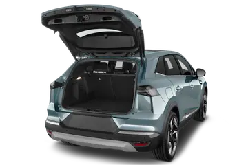 trunk