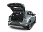 trunk