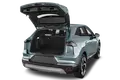 trunk