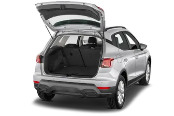 trunk