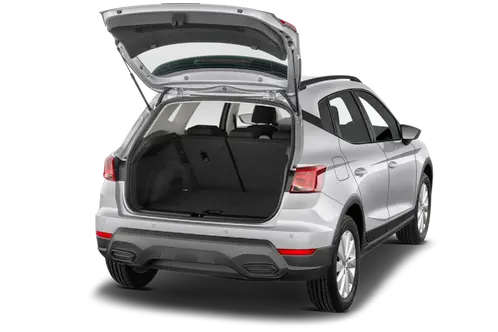 trunk