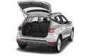 trunk