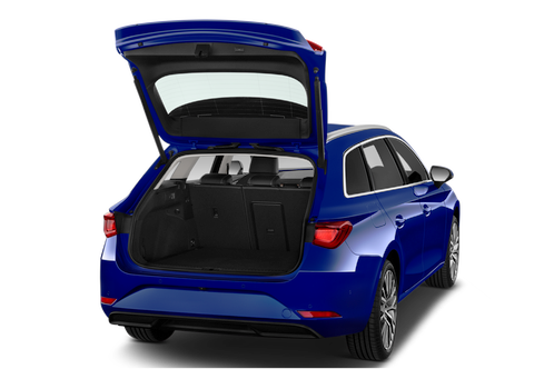trunk