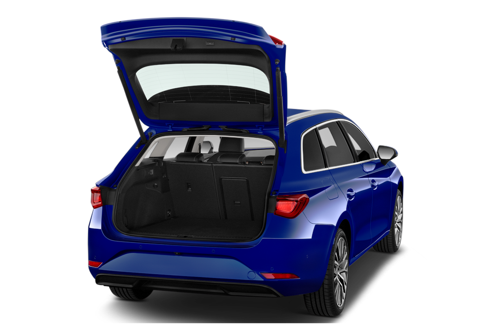 trunk