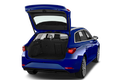 trunk