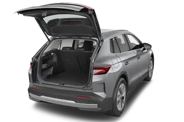 trunk