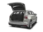 trunk