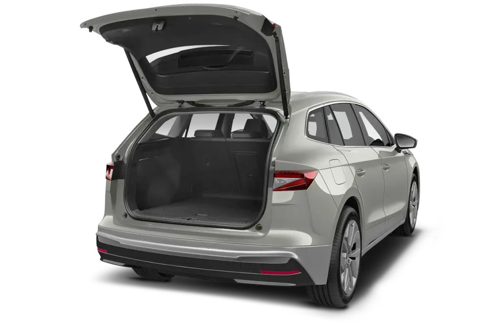 trunk