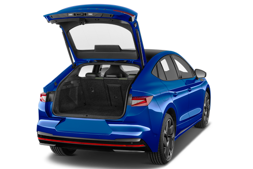 trunk