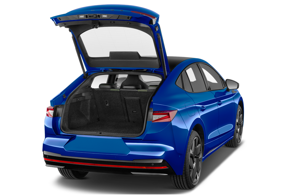trunk