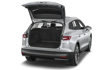 trunk