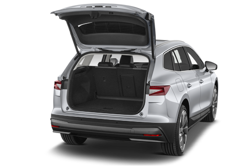 trunk