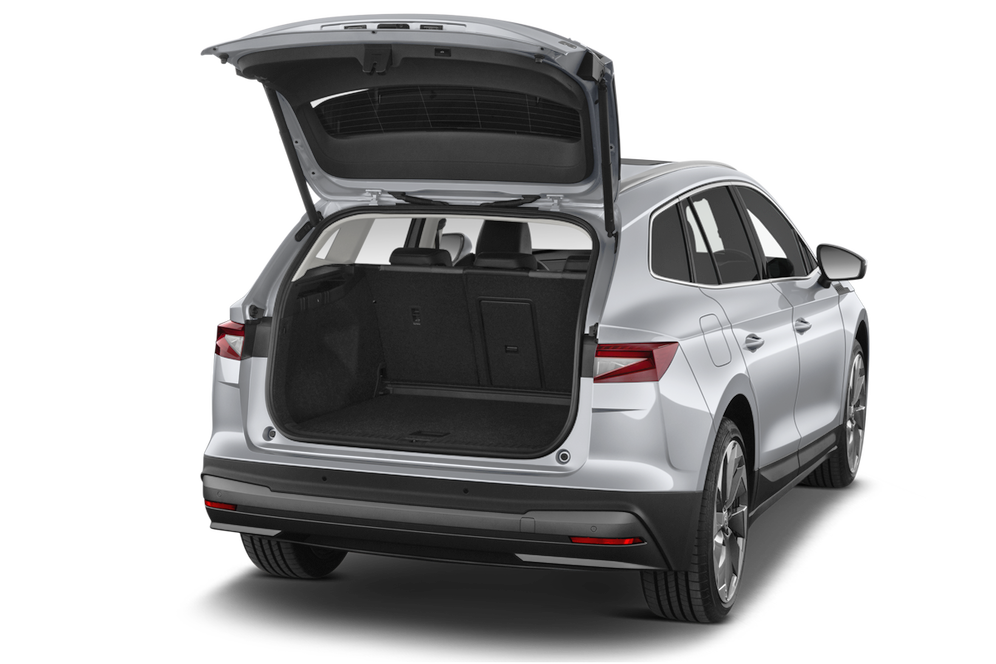 trunk