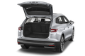 trunk