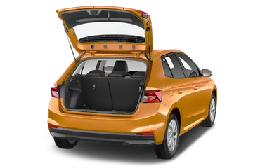 trunk