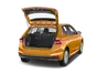 trunk