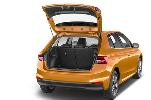 trunk