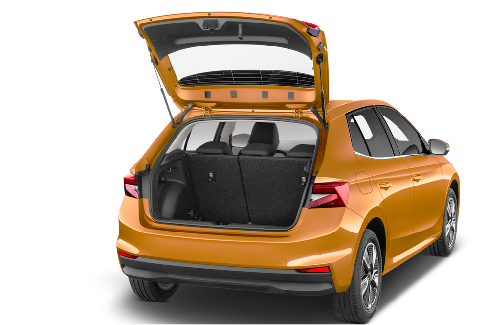 trunk