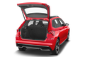 trunk