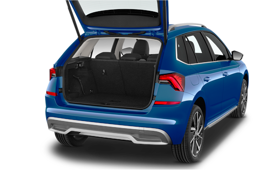trunk