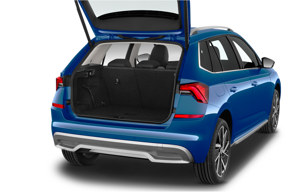 trunk
