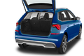 trunk