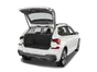 trunk