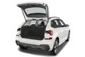 trunk