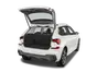trunk