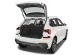 trunk