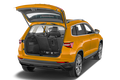 trunk