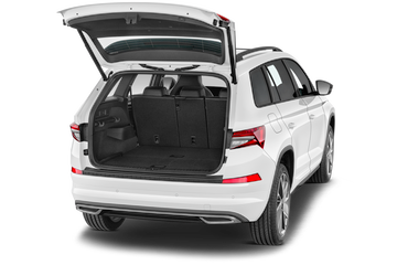 trunk