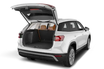 trunk