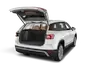 trunk