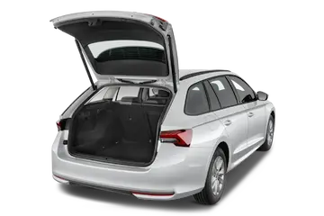 trunk