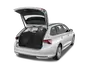 trunk