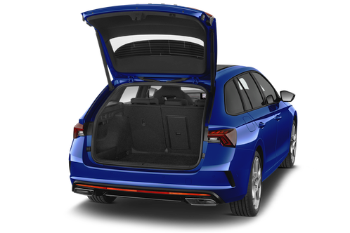 trunk