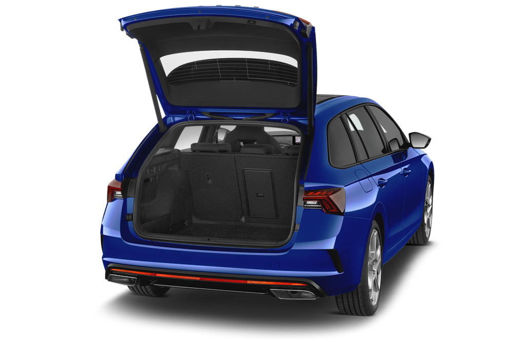 trunk