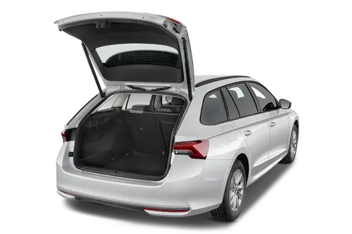 trunk