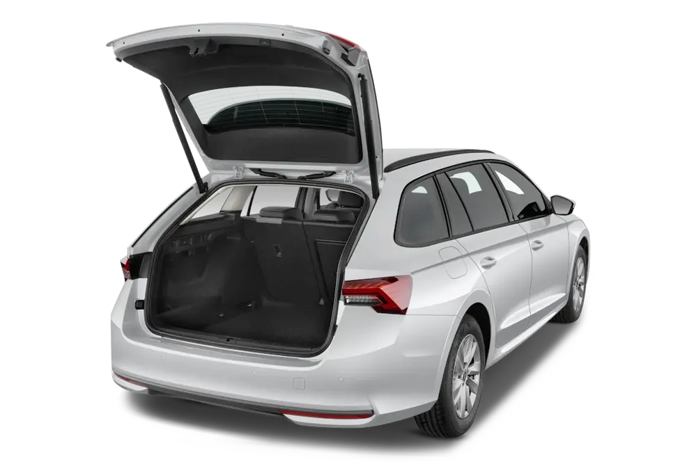 trunk